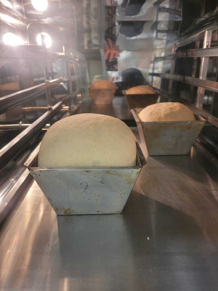 Foto: Riinu Kaasik, METK