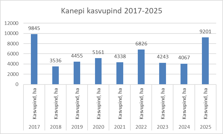 Tööstuskanep põllul